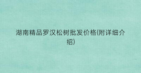 湖南精品罗汉松树批发价格(附详细介绍)