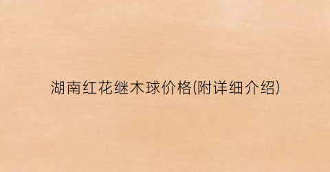 湖南红花继木球价格(附详细介绍)