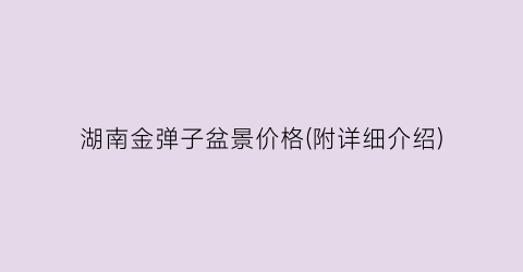 湖南金弹子盆景价格(附详细介绍)