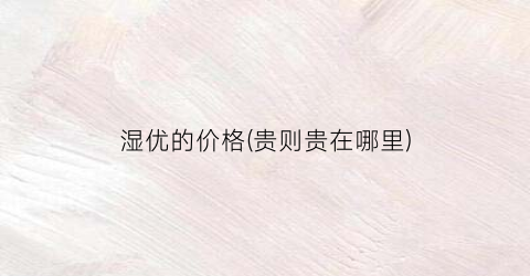 湿优的价格(贵则贵在哪里)
