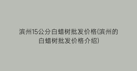 滨州15公分白蜡树批发价格(滨州的白蜡树批发价格介绍)