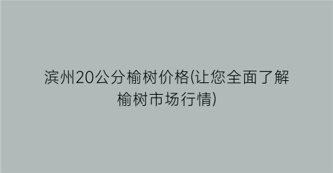 滨州20公分榆树价格(让您全面了解榆树市场行情)