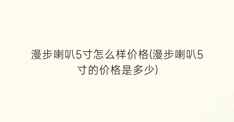 漫步喇叭5寸怎么样价格(漫步喇叭5寸的价格是多少)