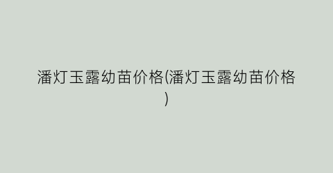 潘灯玉露幼苗价格(潘灯玉露幼苗价格)