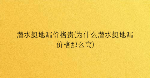 潜水艇地漏价格贵(为什么潜水艇地漏价格那么高)