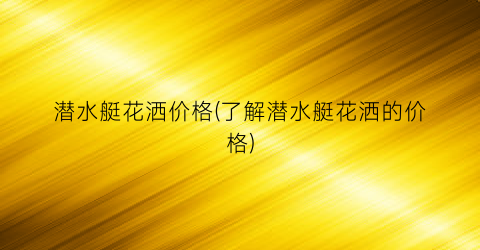 潜水艇花洒价格(了解潜水艇花洒的价格)