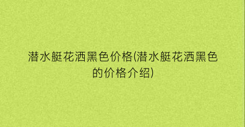 潜水艇花洒黑色价格(潜水艇花洒黑色的价格介绍)