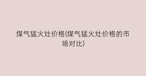 煤气猛火灶价格(煤气猛火灶价格的市场对比)