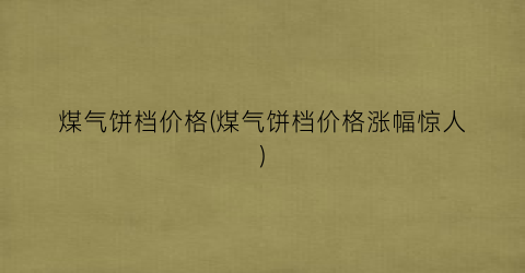 煤气饼档价格(煤气饼档价格涨幅惊人)