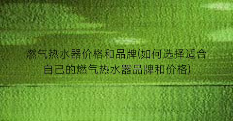 燃气热水器价格和品牌(如何选择适合自己的燃气热水器品牌和价格)