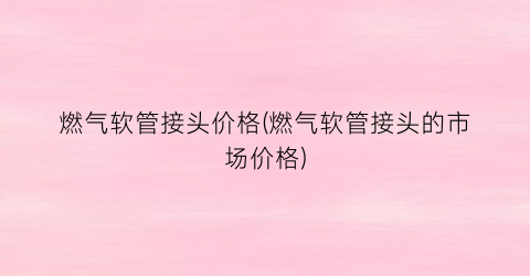 燃气软管接头价格(燃气软管接头的市场价格)