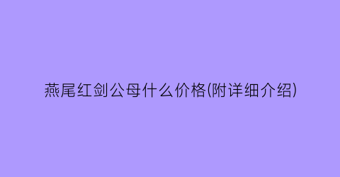 燕尾红剑公母什么价格(附详细介绍)
