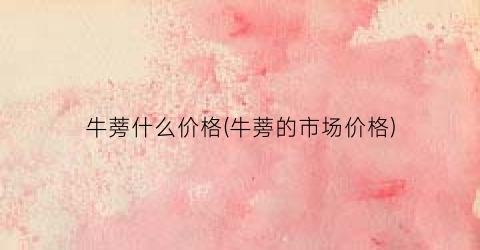 牛蒡什么价格(牛蒡的市场价格)