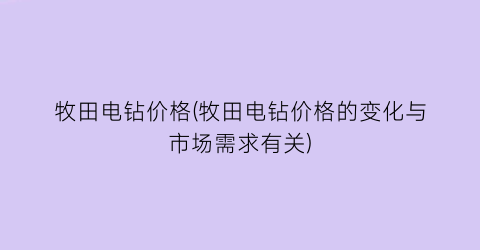 牧田电钻价格(牧田电钻价格的变化与市场需求有关)