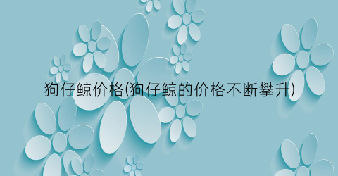 狗仔鲸价格(狗仔鲸的价格不断攀升)
