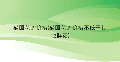 猫眼花的价格(猫眼花的价格不低于其他鲜花)