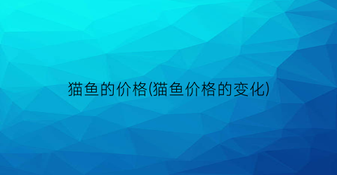 猫鱼的价格(猫鱼价格的变化)