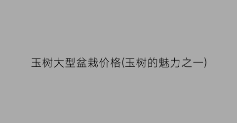 玉树大型盆栽价格(玉树的魅力之一)