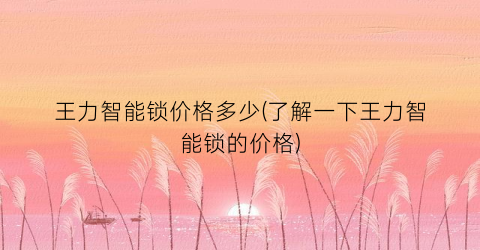 王力智能锁价格多少(了解一下王力智能锁的价格)