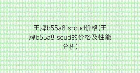 王牌b55a81s-cud价格(王牌b55a81scud的价格及性能分析)