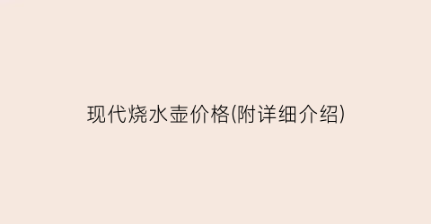 现代烧水壶价格(附详细介绍)