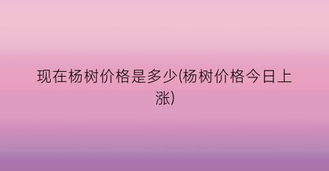 现在杨树价格是多少(杨树价格今日上涨)