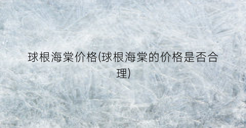 球根海棠价格(球根海棠的价格是否合理)