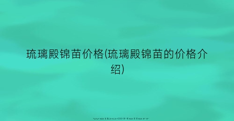 “琉璃殿锦苗价格(琉璃殿锦苗的价格介绍)