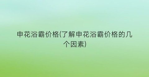 申花浴霸价格(了解申花浴霸价格的几个因素)