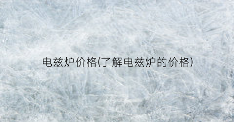 电兹炉价格(了解电兹炉的价格)