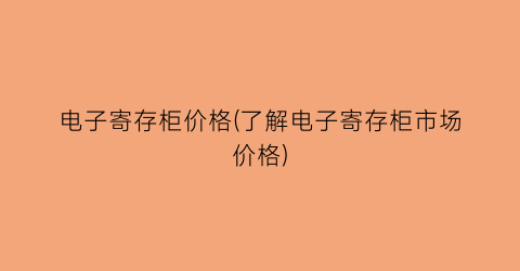 电子寄存柜价格(了解电子寄存柜市场价格)
