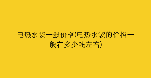 电热水袋一般价格(电热水袋的价格一般在多少钱左右)