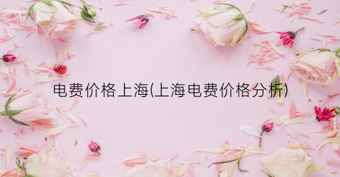 电费价格上海(上海电费价格分析)