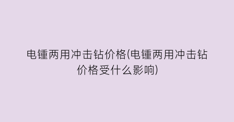 电锺两用冲击钻价格(电锺两用冲击钻价格受什么影响)