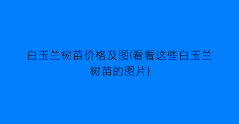 白玉兰树苗价格及图(看看这些白玉兰树苗的图片)
