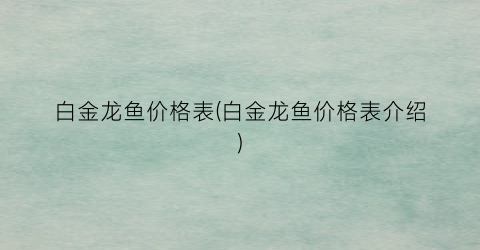 白金龙鱼价格表(白金龙鱼价格表介绍)