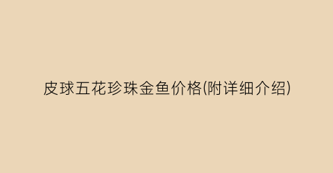 皮球五花珍珠金鱼价格(附详细介绍)