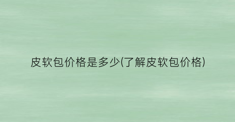 皮软包价格是多少(了解皮软包价格)