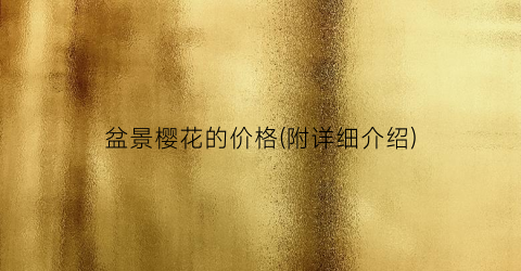 盆景樱花的价格(附详细介绍)