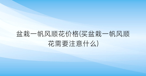 盆栽一帆风顺花价格(买盆栽一帆风顺花需要注意什么)