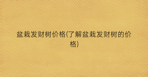 盆栽发财树价格(了解盆栽发财树的价格)