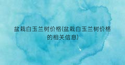盆栽白玉兰树价格(盆栽白玉兰树价格的相关信息)