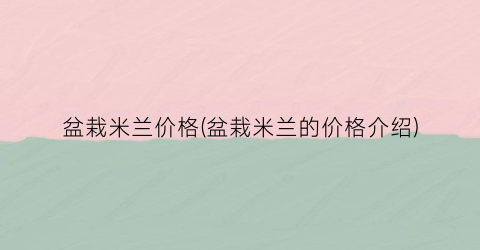 盆栽米兰价格(盆栽米兰的价格介绍)