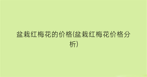 盆栽红梅花的价格(盆栽红梅花价格分析)