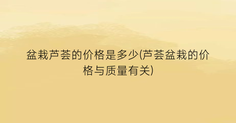 盆栽芦荟的价格是多少(芦荟盆栽的价格与质量有关)