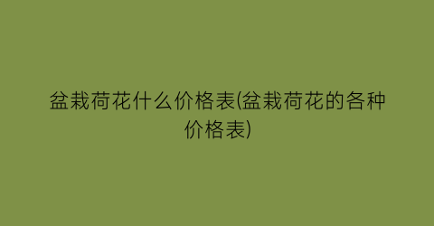 盆栽荷花什么价格表(盆栽荷花的各种价格表)