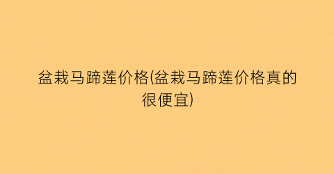 盆栽马蹄莲价格(盆栽马蹄莲价格真的很便宜)