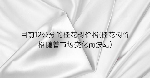 目前12公分的桂花树价格(桂花树价格随着市场变化而波动)