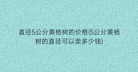 直径5公分黄杨树的价格(5公分黄杨树的直径可以卖多少钱)