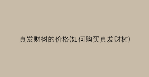 真发财树的价格(如何购买真发财树)
